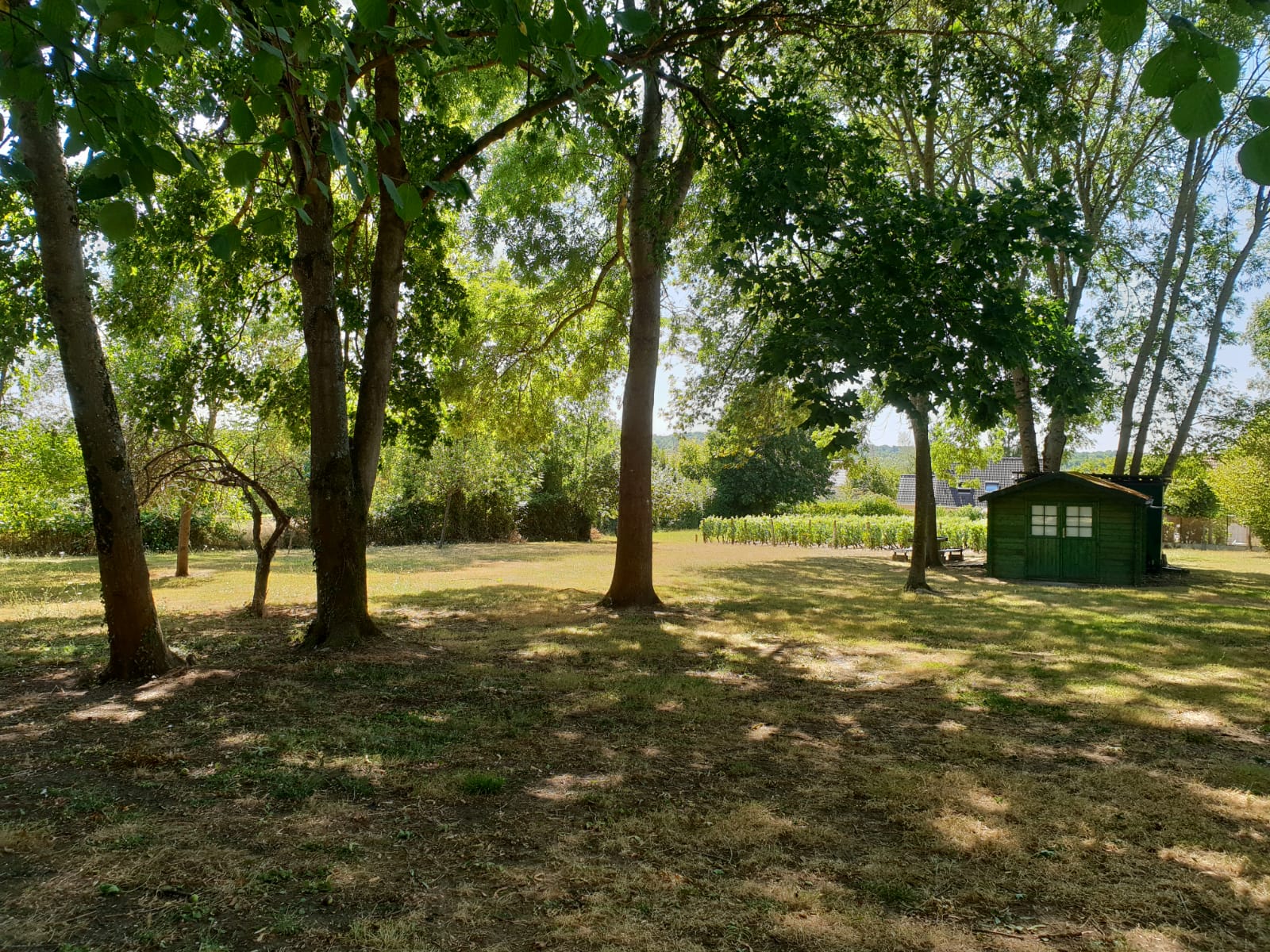 C'est au coeur du village, dans un espace partiellement boisé, que se développera le projet des Pierrottes